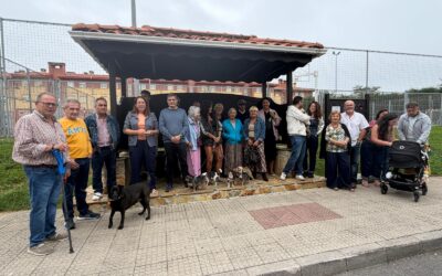 El PP denuncia que el Consorcio de Transportes lleva cuatro meses sin responder a Castrillón mientras Coto Carcedo sigue sin autobús al consultorio médico de Raíces