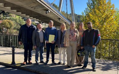 El PP exige al Gobierno de Barbón un plan de movilidad para los transportistas y transparencia sobre las inspecciones del puente atirantado de Sama